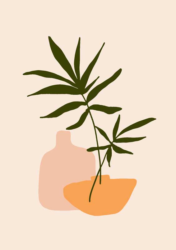 免费鲍鱼网进入官网by8813